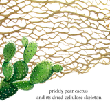 Medium Pointed Teardrop Cactus Necklace